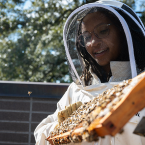 The Beekeeper Artist Janelle Dunlap