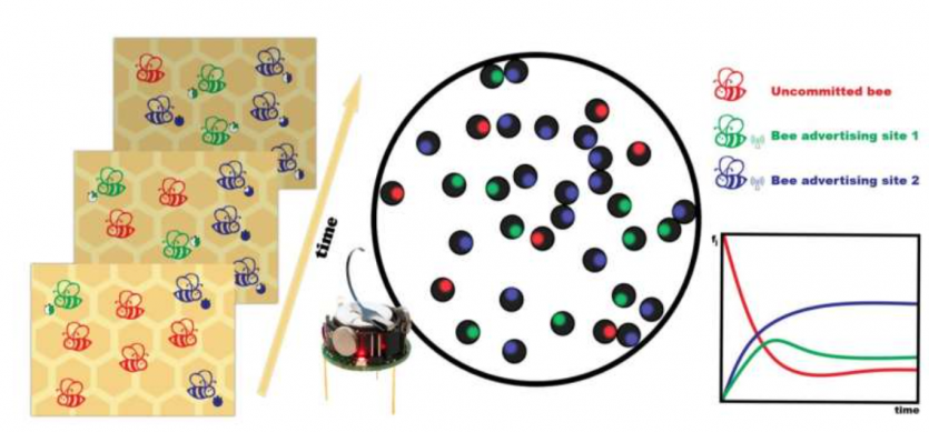 Mini Robots Mimic Honeybee Dance A Revolutionary Model for Decision-Making